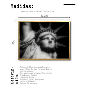 Cuadro Decorativo NY 019 - Estatua de la Libertad Nueva York