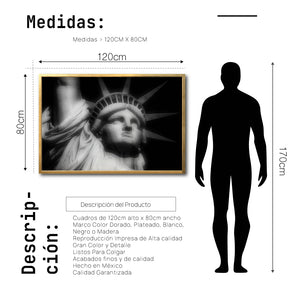 Cuadro Decorativo NY 019 - Estatua de la Libertad Nueva York
