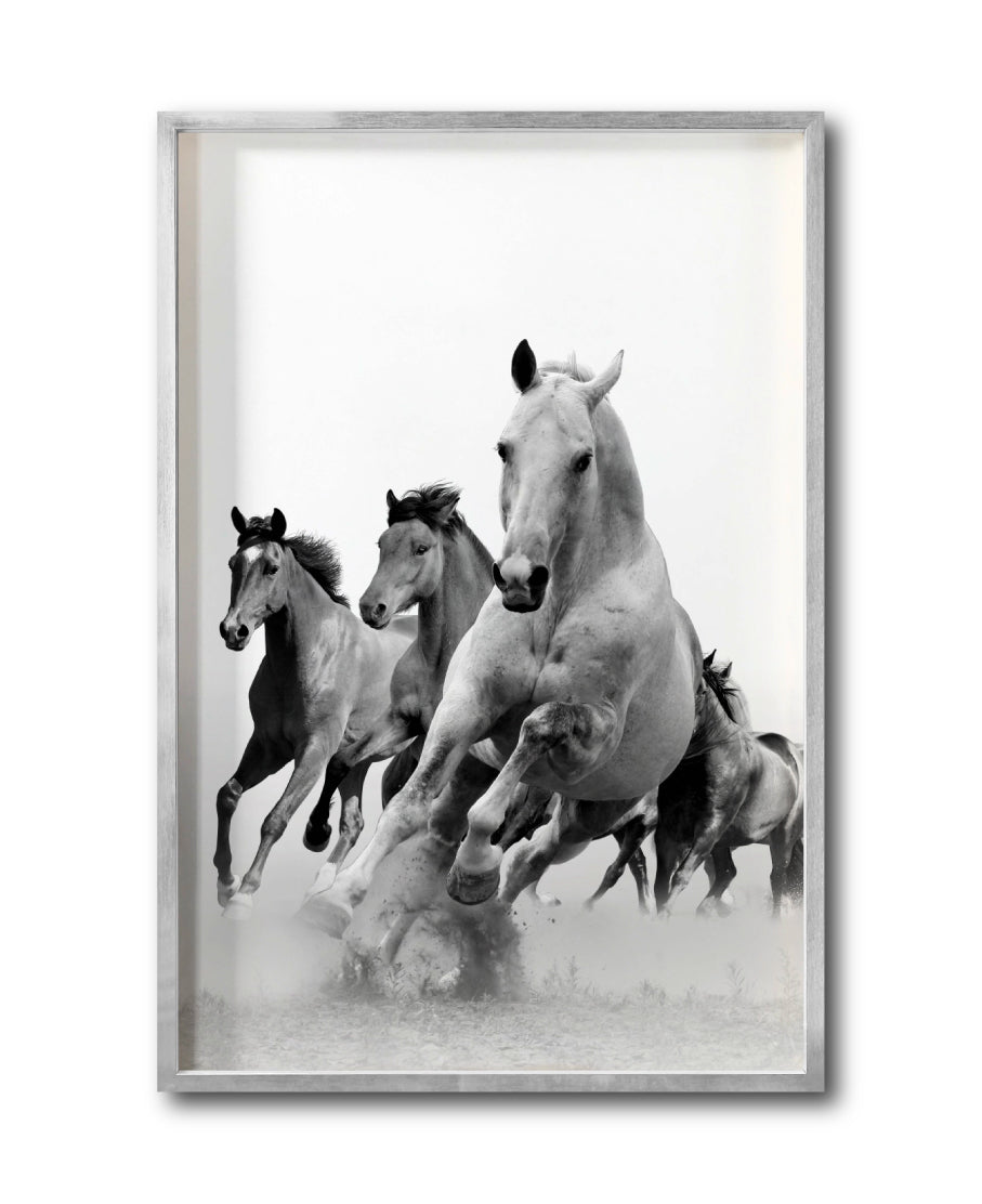 Cuadro Decorativo Caballos 019