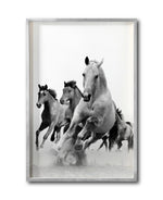 Cargar imagen en el visor de la galería, Cuadro Decorativo Caballos 019
