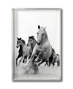 Cuadro Decorativo Caballos 019