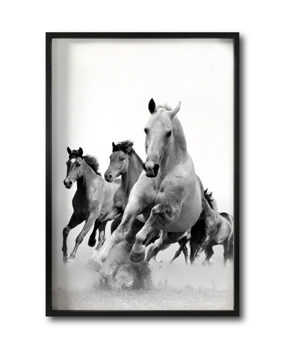 Cuadro Decorativo Caballos 019