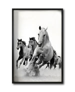 Cargar imagen en el visor de la galería, Cuadro Decorativo Caballos 019
