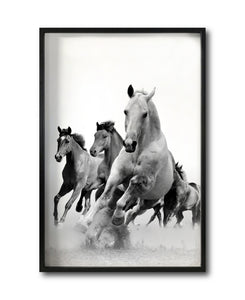Cuadro Decorativo Caballos 019