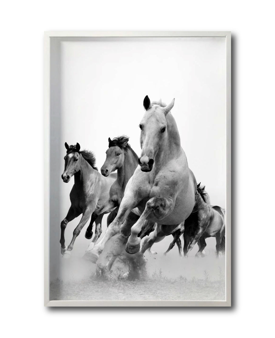 Cuadro Decorativo Caballos 019