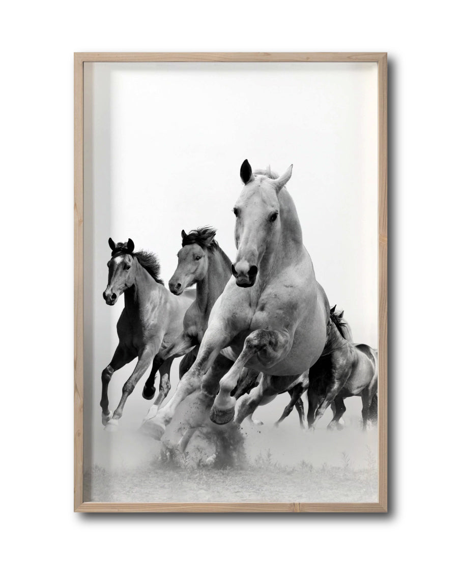 Cuadro Decorativo Caballos 019