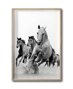 Cargar imagen en el visor de la galería, Cuadro Decorativo Caballos 019
