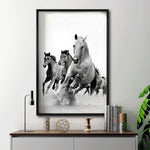 Cargar imagen en el visor de la galería, Cuadro Decorativo Caballos 019
