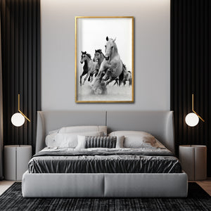 Cuadro Decorativo Caballos 019