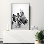 Cargar imagen en el visor de la galería, Cuadro Decorativo Caballos 019
