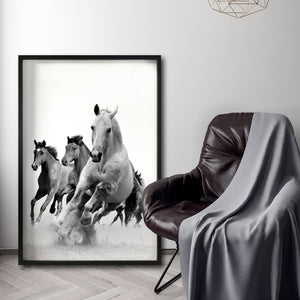 Cuadro Decorativo Caballos 019