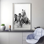 Cargar imagen en el visor de la galería, Cuadro Decorativo Caballos 019
