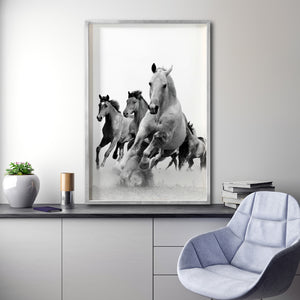 Cuadro Decorativo Caballos 019
