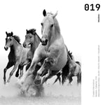 Cargar imagen en el visor de la galería, Cuadro Decorativo Caballos 019
