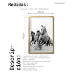Cargar imagen en el visor de la galería, Cuadro Decorativo Caballos 019
