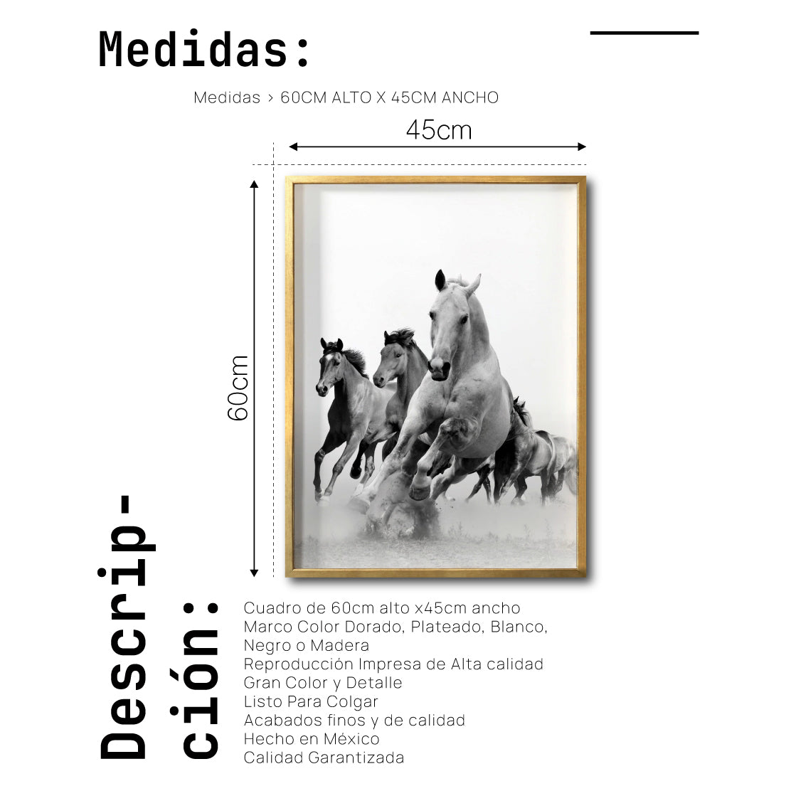 Cuadro Decorativo Caballos 019