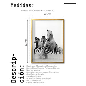 Cuadro Decorativo Caballos 019