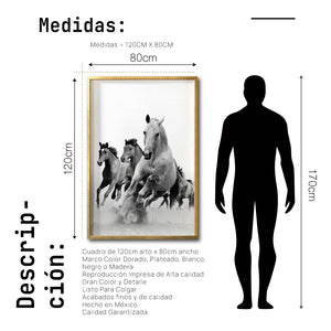 Cuadro Decorativo Caballos 019
