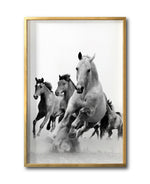 Cargar imagen en el visor de la galería, Cuadro Decorativo Caballos 019
