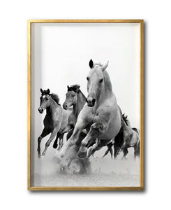 Cuadro Decorativo Caballos 019