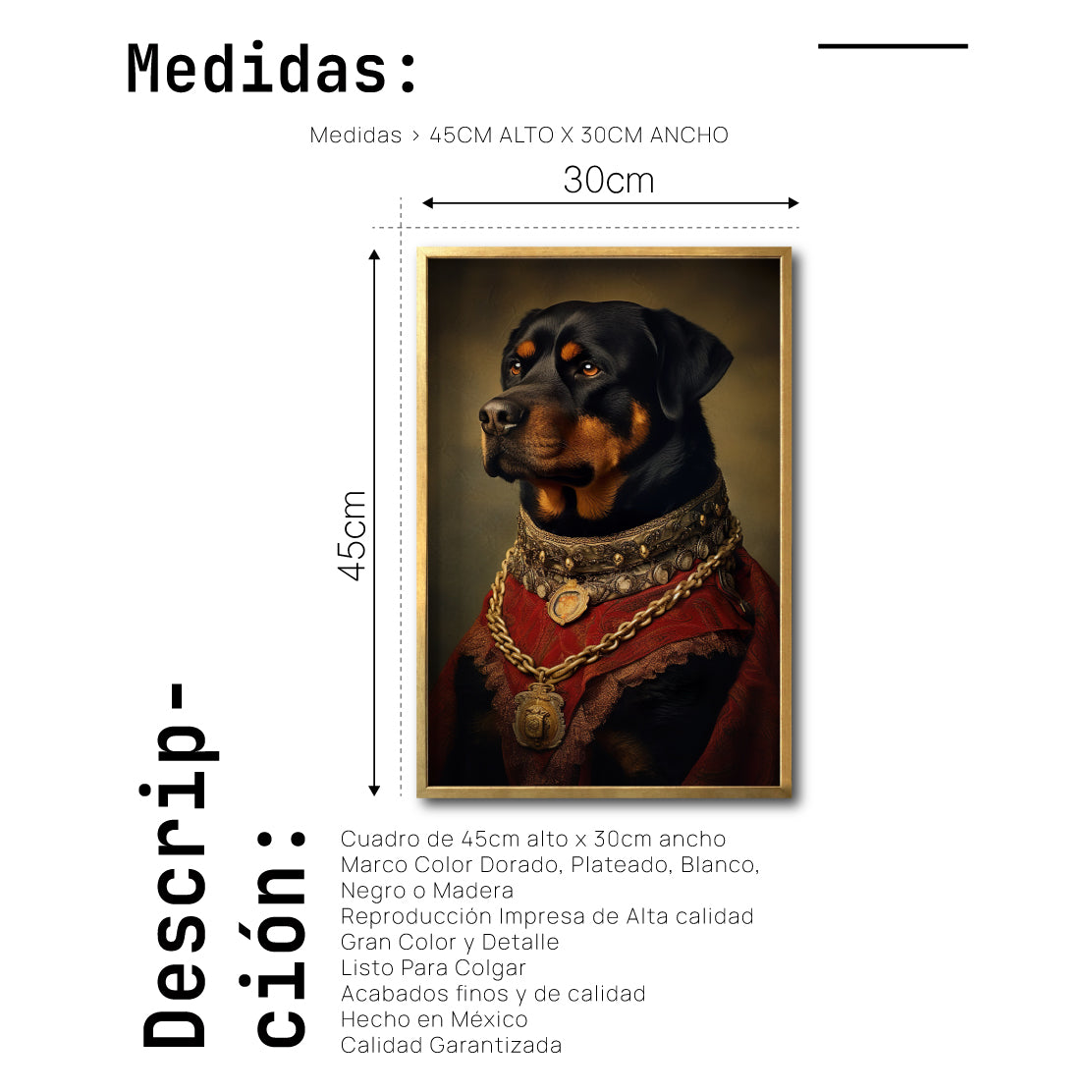 Cuadro Decorativo Perros Epoca 019 - Rottweiler Aristócrata