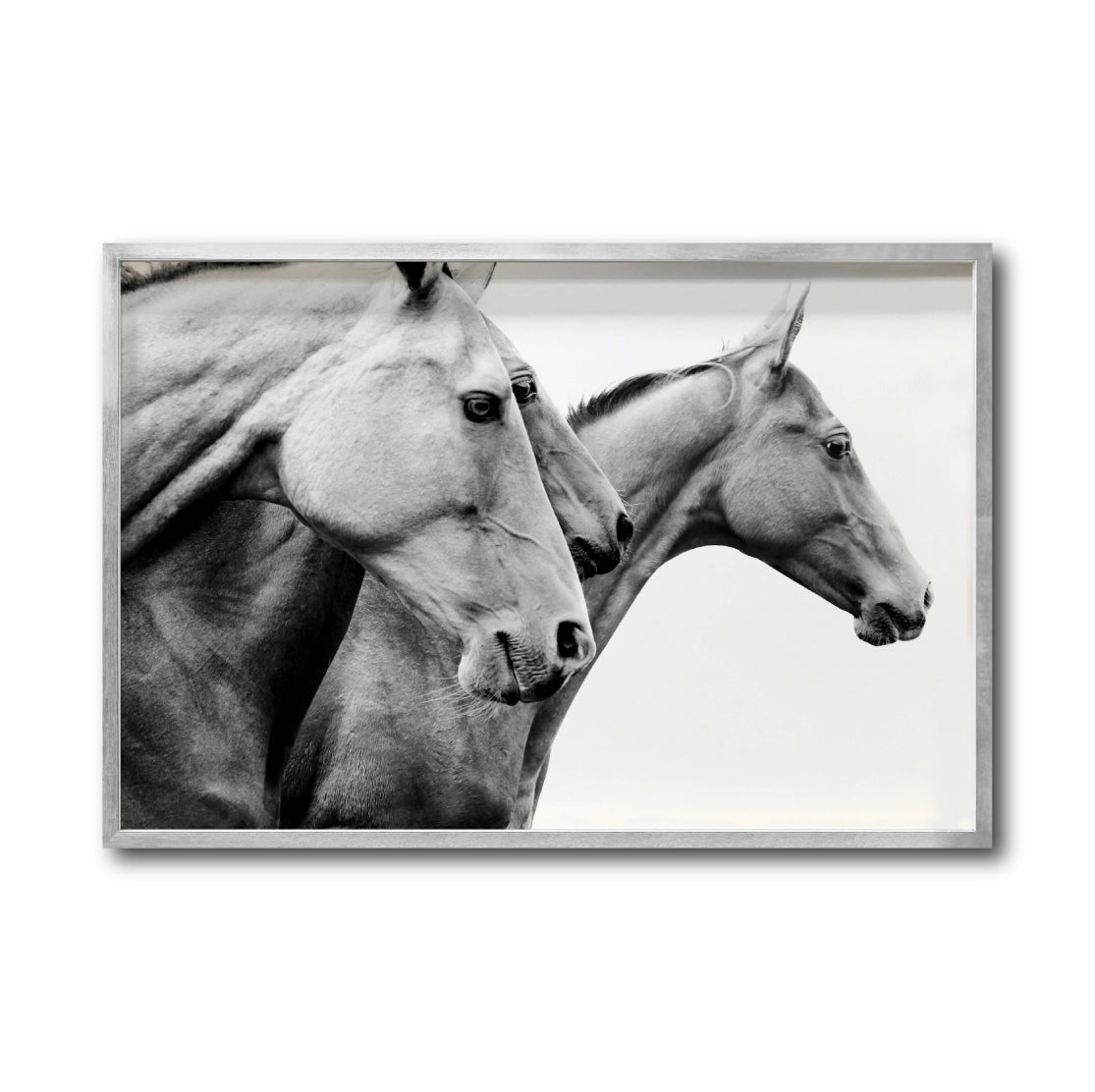 Cuadro Decorativo Caballos 020