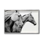 Cargar imagen en el visor de la galería, Cuadro Decorativo Caballos 020
