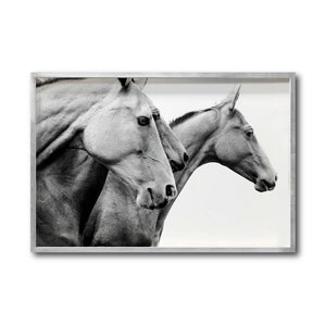 Cuadro Decorativo Caballos 020