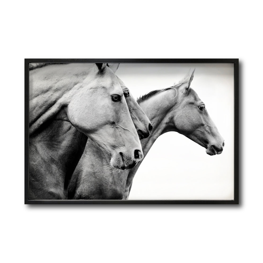 Cuadro Decorativo Caballos 020