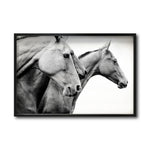 Cargar imagen en el visor de la galería, Cuadro Decorativo Caballos 020
