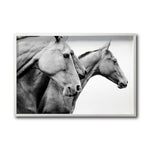 Cargar imagen en el visor de la galería, Cuadro Decorativo Caballos 020
