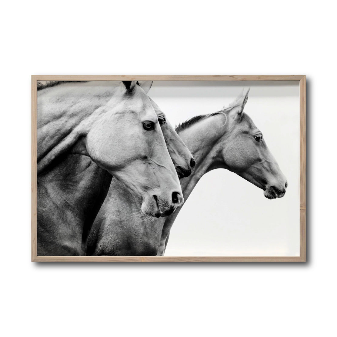 Cuadro Decorativo Caballos 020