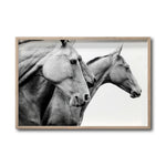 Cargar imagen en el visor de la galería, Cuadro Decorativo Caballos 020
