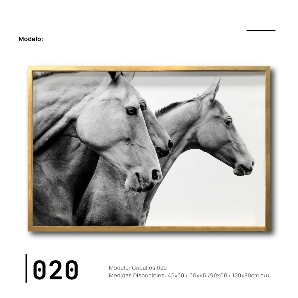 Compra cuadros de Caballos en Ciudad de México para tu comedor. Galería 314.  Colores blanco y negro.