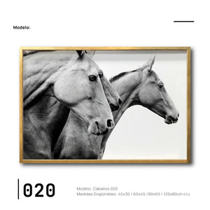 Compra cuadros de Caballos en Ciudad de México para tu comedor. Galería 314.  Colores blanco y negro.