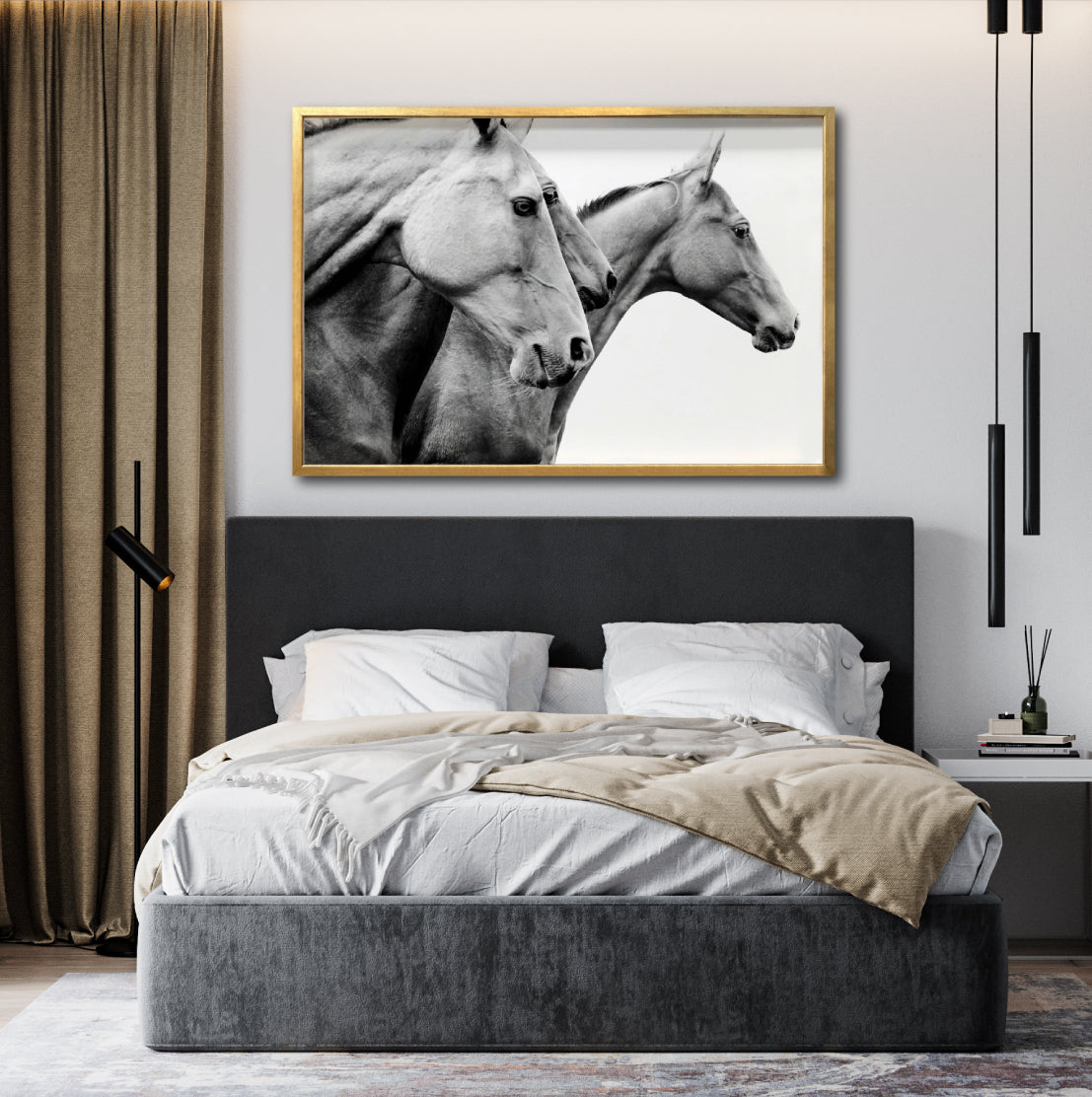 Cuadro Decorativo Caballos 020