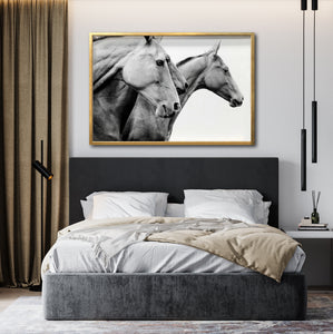Cuadro Decorativo Caballos 020
