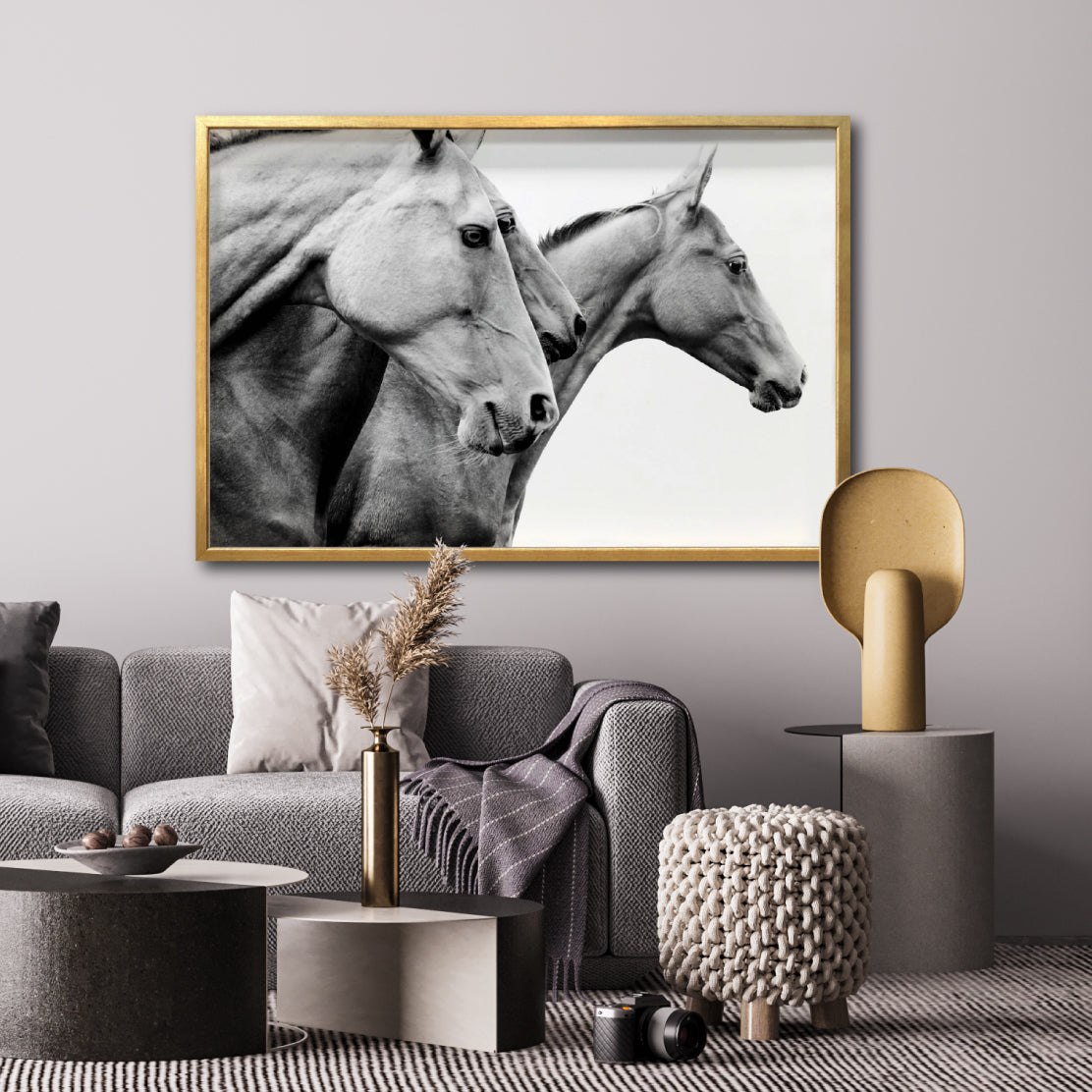 Cuadro Decorativo Caballos 020
