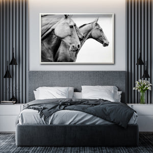 Cuadro Decorativo Caballos 020