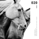 Cargar imagen en el visor de la galería, Cuadro Decorativo Caballos 020
