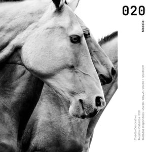 Cuadro Decorativo Caballos 020