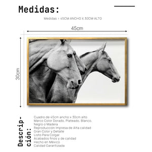 Cuadro Decorativo Caballos 020