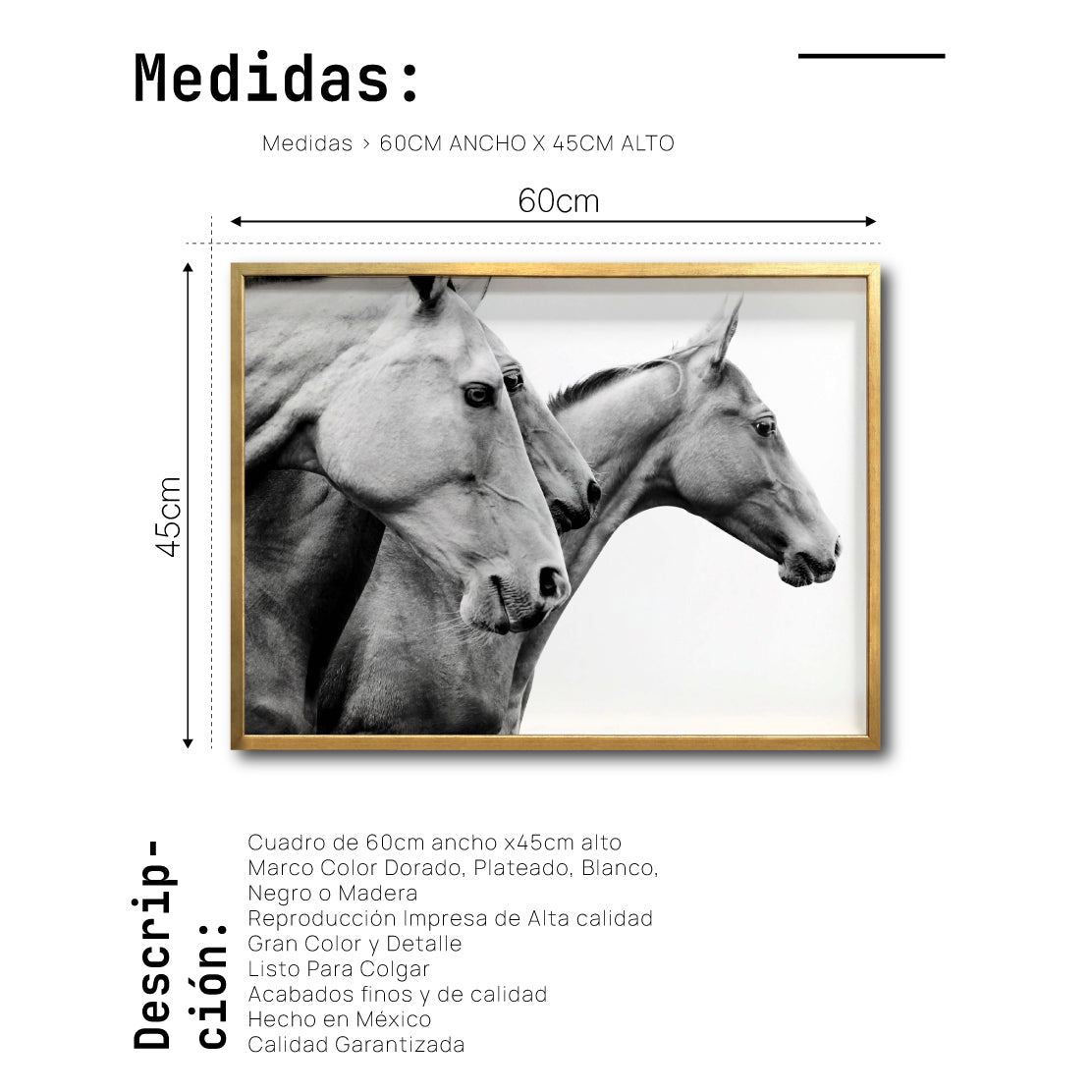 Cuadro Decorativo Caballos 020