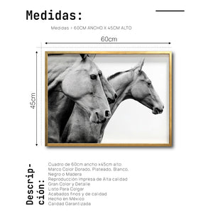 Cuadro Decorativo Caballos 020