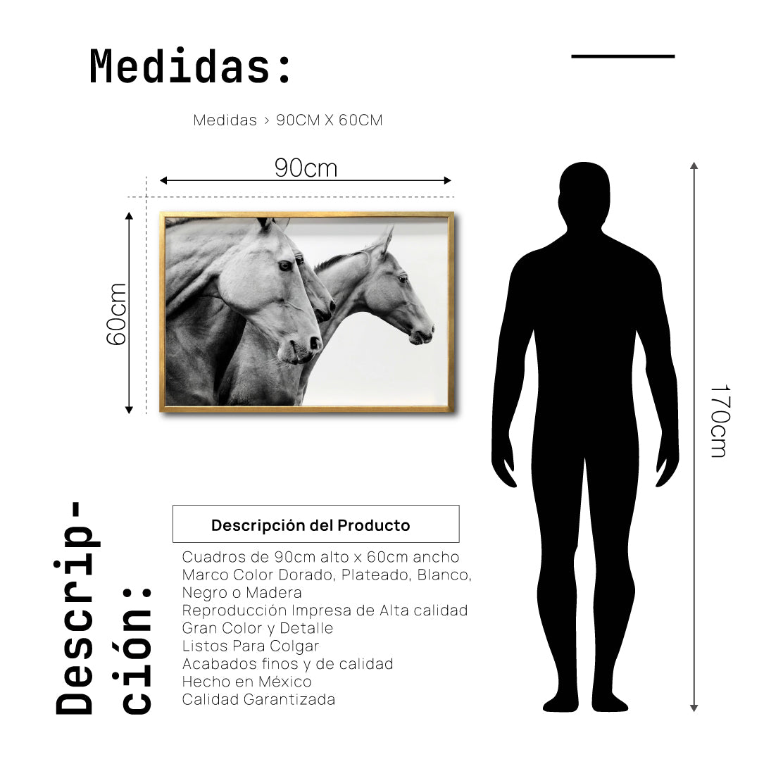 Cuadro Decorativo Caballos 020