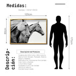 Cargar imagen en el visor de la galería, Cuadro Decorativo Caballos 020
