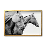 Cargar imagen en el visor de la galería, Cuadro Decorativo Caballos 020
