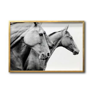 Cuadro Decorativo Caballos 020