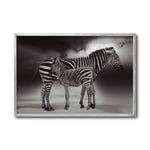 Cargar imagen en el visor de la galería, Cuadro Decorativo Fauna 020 - Cebras Blanco y Negro
