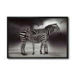 Cargar imagen en el visor de la galería, Cuadro Decorativo Fauna 020 - Cebras Blanco y Negro
